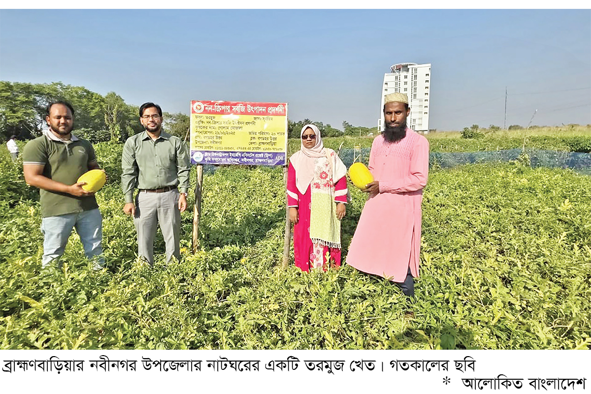 অফ সিজনে তরমুজ চাষে সাফল্য অফ সিজনে তরমুজ চাষে সাফল্য