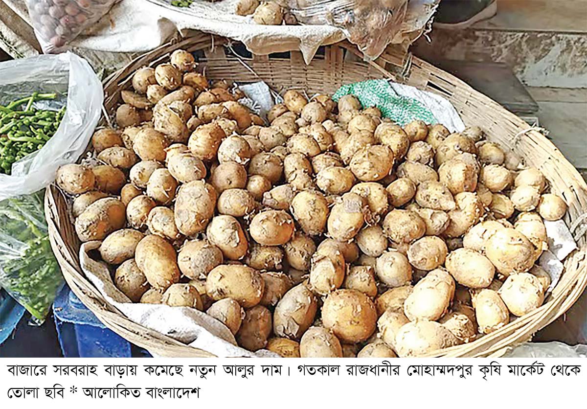 বাজারে কমছে নতুন আলুর দাম, কেজি ৩০-৩৫ টাকা বাজারে কমছে নতুন আলুর দাম, কেজি ৩০-৩৫ টাকা