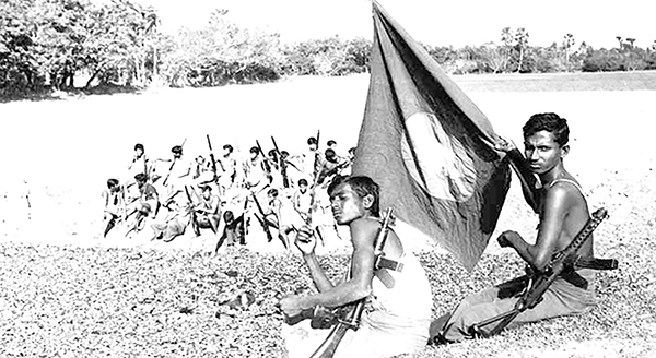 পোড়ামাটি থেকে আকাশছোঁয়া : ফিনিক্স পাখির নাম বাংলাদেশ পোড়ামাটি থেকে আকাশছোঁয়া : ফিনিক্স পাখির নাম বাংলাদেশ