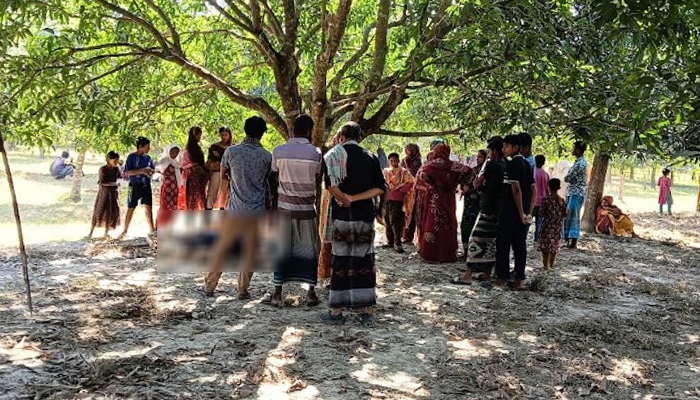 তালায় আমবাগান থেকে ১ ব্যক্তির মরদেহ উদ্ধার তালায় আমবাগান থেকে ১ ব্যক্তির মরদেহ উদ্ধার