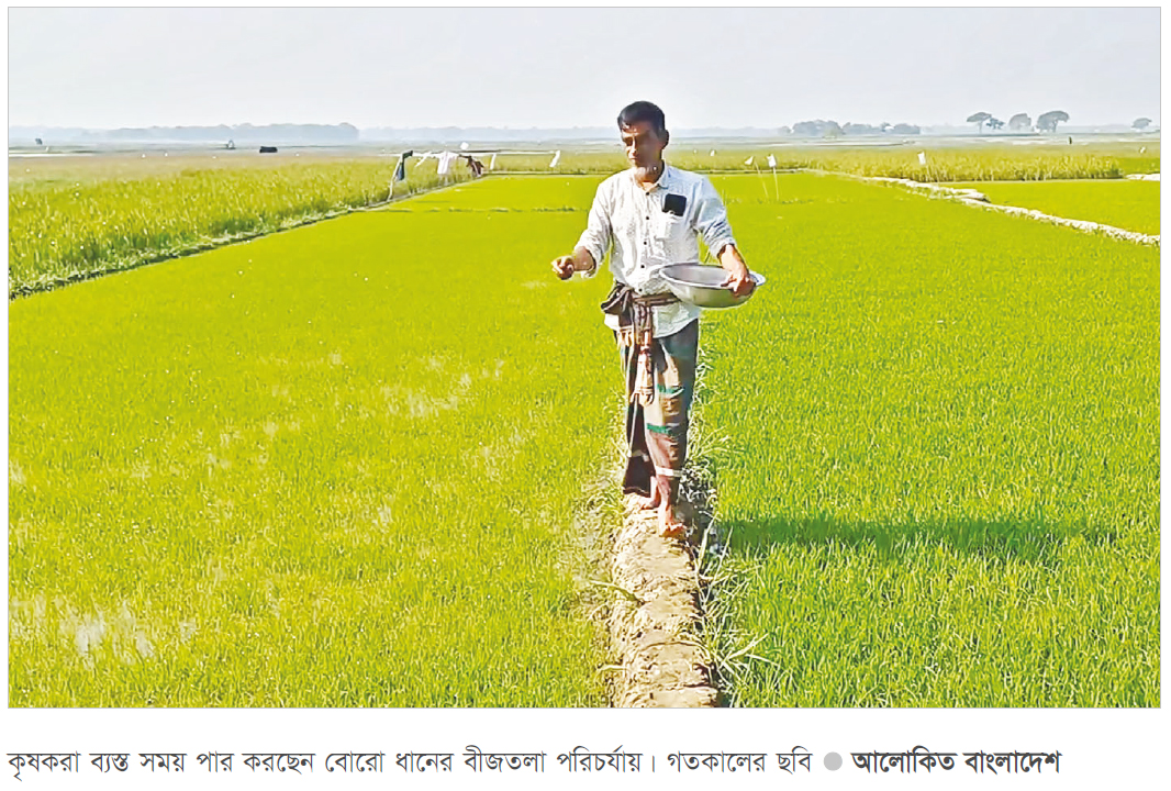 কিশোরগঞ্জের হাওরাঞ্চলে বোরো আবাদে ব্যস্ত কৃষক কিশোরগঞ্জের হাওরাঞ্চলে বোরো আবাদে ব্যস্ত কৃষক