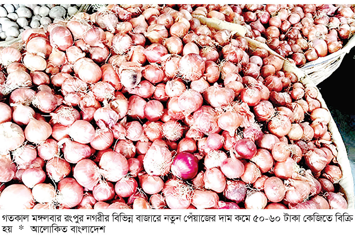রংপুরে পেঁয়াজের দাম কমে কেজি ৫০ টাকা রংপুরে পেঁয়াজের দাম কমে কেজি ৫০ টাকা