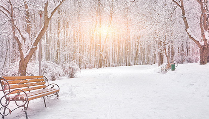 শীত ইবাদতের বসন্তকাল শীত ইবাদতের বসন্তকাল