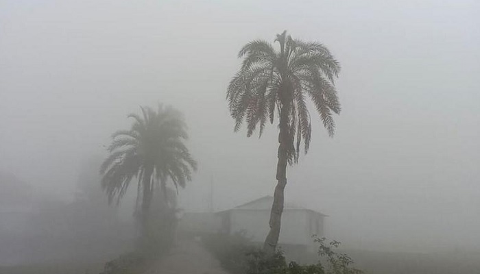 আগামী ৫ দিন কুয়াশার দাপট, বাড়তে পারে শীত আগামী ৫ দিন কুয়াশার দাপট, বাড়তে পারে শীত
