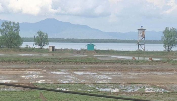 মিয়ানমার থেকে ছোড়া গুলিতে আহত শিশু বেঁচে আছে মিয়ানমার থেকে ছোড়া গুলিতে আহত শিশু বেঁচে আছে