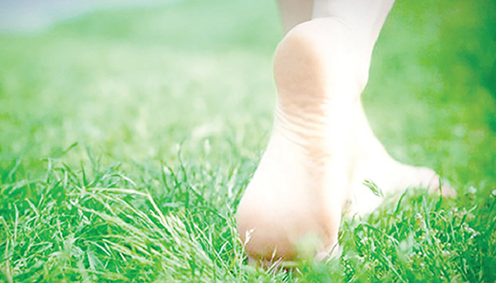 শরীরচর্চা ও ইসলাম শরীরচর্চা ও ইসলাম