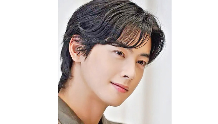 কোরিয়ান শিল্পীর বিরুদ্ধে মোটা অঙ্কের কর ফাঁকির অভিযোগ কোরিয়ান শিল্পীর বিরুদ্ধে মোটা অঙ্কের কর ফাঁকির অভিযোগ