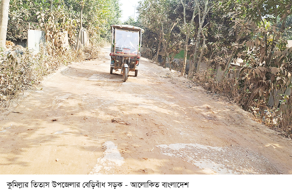 তিতাসে সড়কের বেহাল দশা তিতাসে সড়কের বেহাল দশা
