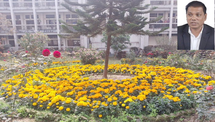 দিনাজপুর জেলা প্রশাসক চত্বরে ফুলের সমারোহ দিনাজপুর জেলা প্রশাসক চত্বরে ফুলের সমারোহ
