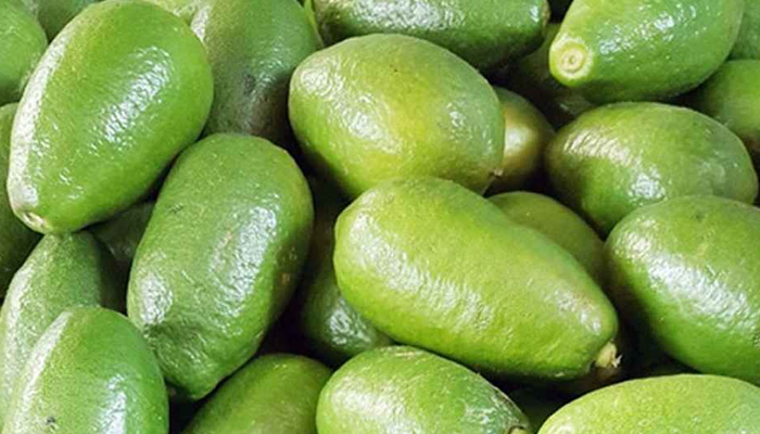 রোজার আগেই লেবুর হালি ১০০ টাকা রোজার আগেই লেবুর হালি ১০০ টাকা