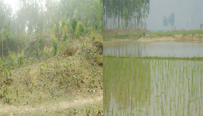 পীরগঞ্জে বিলুপ্তির পথে রাজা ভীম চন্দ্রের প্রাসাদ পীরগঞ্জে বিলুপ্তির পথে রাজা ভীম চন্দ্রের প্রাসাদ