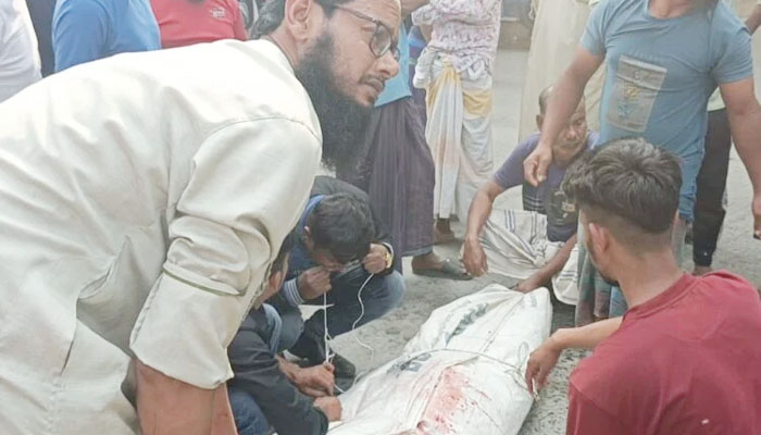 সিরাজগঞ্জে ট্রাকচাপায় অটোভ্যানচালক নিহত সিরাজগঞ্জে ট্রাকচাপায় অটোভ্যানচালক নিহত