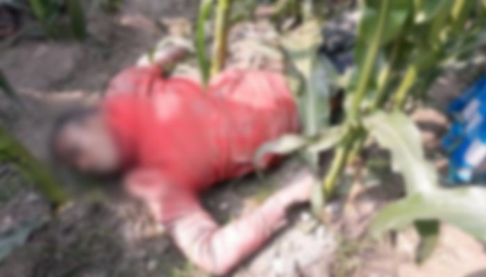 লালমনিরহাটে ভুট্টা ক্ষেত থেকে যুবকের মরদেহ উদ্ধার লালমনিরহাটে ভুট্টা ক্ষেত থেকে যুবকের মরদেহ উদ্ধার