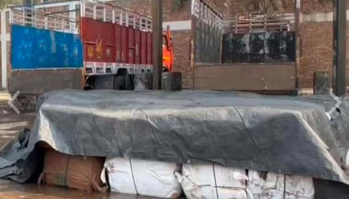 মিথ্যা ঘোষণায় রুই মাছ আমদানি, আটক করল কাস্টমস