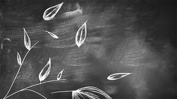 কার্পাসের হাওয়ায় লাল পলাতক ঘুড়ি