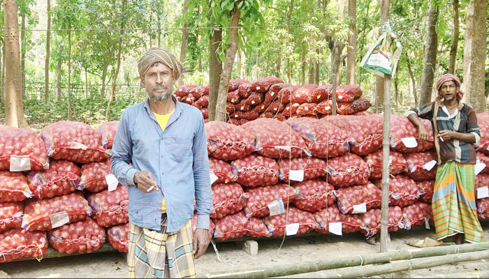 দামুড়হুদায় পেঁয়াজের দামে হতাশ চাষিরা, গুনতে হচ্ছে লোকসান দামুড়হুদায় পেঁয়াজের দামে হতাশ চাষিরা, গুনতে হচ্ছে লোকসান