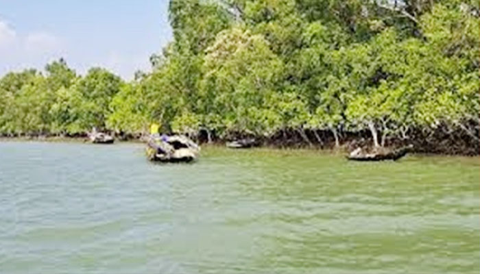 সুন্দরবনে দস্যুদের হাতে ১০ জেলে অপহৃত; মুক্তিপণে ছাড়া ৬, নিখোজ ৪ সুন্দরবনে দস্যুদের হাতে ১০ জেলে অপহৃত; মুক্তিপণে ছাড়া ৬, নিখোজ ৪