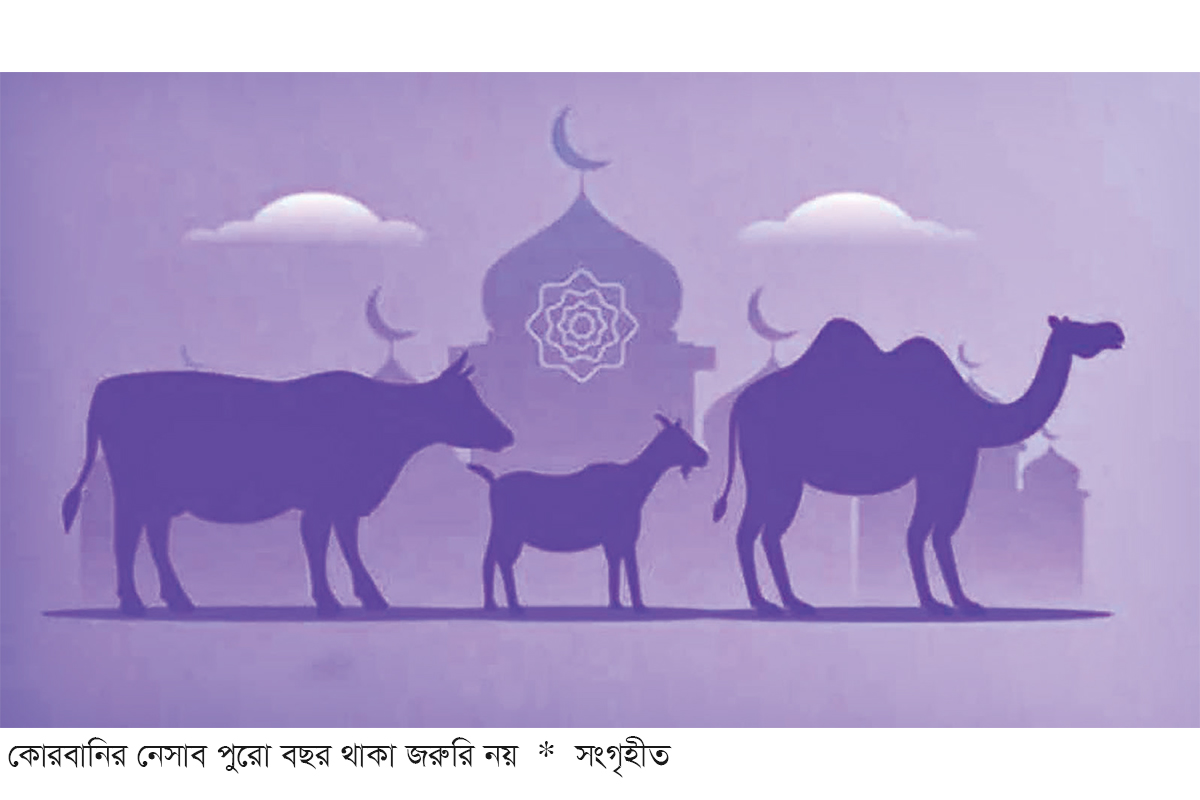 যাদের ওপর কোরবানি ওয়াজিব যাদের ওপর কোরবানি ওয়াজিব