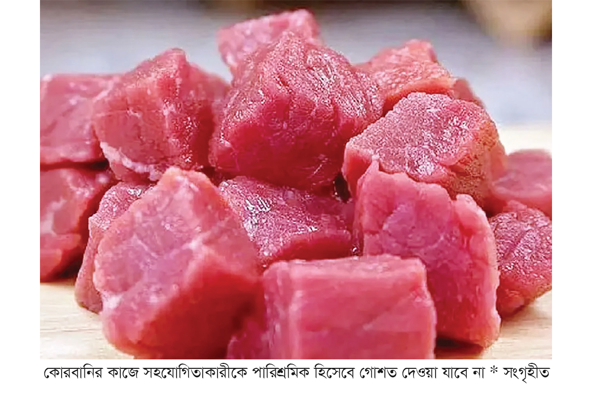 কোরবানির গোশতের বিধান কোরবানির গোশতের বিধান