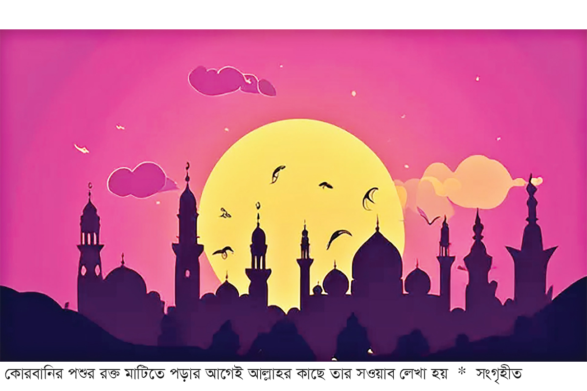 কোরবানির মাহাত্ম্য ও সামাজিক তাৎপর্য কোরবানির মাহাত্ম্য ও সামাজিক তাৎপর্য