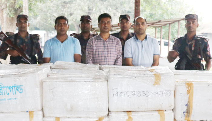 বিজিবির অভিযানে জেলি মেশানো ১১ লাখ টাকার চিংড়ি জব্দ বিজিবির অভিযানে জেলি মেশানো ১১ লাখ টাকার চিংড়ি জব্দ