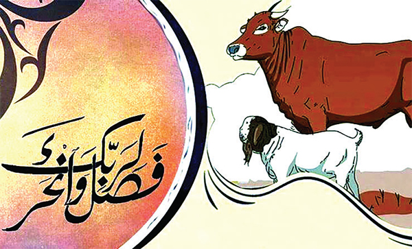 কোরবানি কেন করব কোরবানি কেন করব