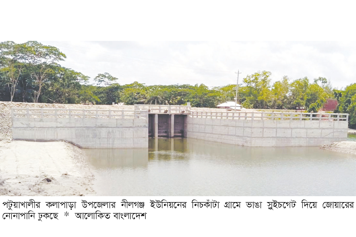 লবণ পানিতে শত শত একর জমি প্লাবিত, স্লুইচগেট চালুর দাবি কৃষকদের লবণ পানিতে শত শত একর জমি প্লাবিত, স্লুইচগেট চালুর দাবি কৃষকদের