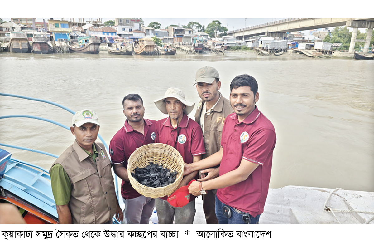 সামুদ্রিক কচ্ছপের ১৬৩টি বাচ্চা তিন নদীর মোহনায় অবমুক্ত সামুদ্রিক কচ্ছপের ১৬৩টি বাচ্চা তিন নদীর মোহনায় অবমুক্ত