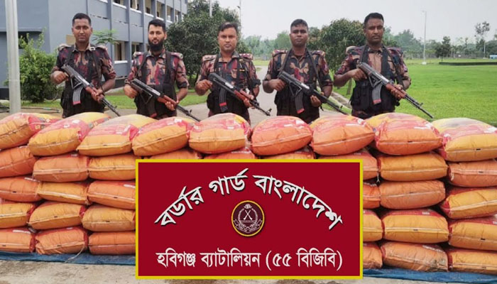 বালুতে লুকিয়ে ভারতীয় জিরা পরিবহন, বিজিবির হাতে জব্দ বালুতে লুকিয়ে ভারতীয় জিরা পরিবহন, বিজিবির হাতে জব্দ