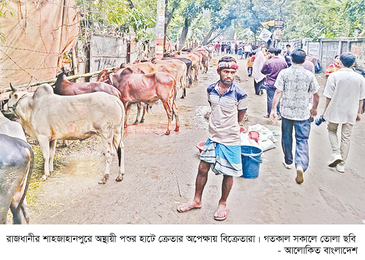 জমে উঠেছে পশুর হাট জমে উঠেছে পশুর হাট