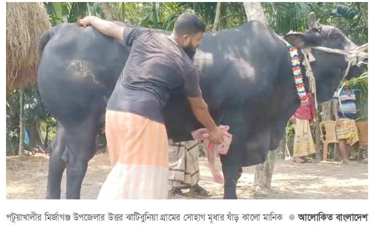 সেই কালো মানিক ২০ লাখে বিক্রি সেই কালো মানিক ২০ লাখে বিক্রি