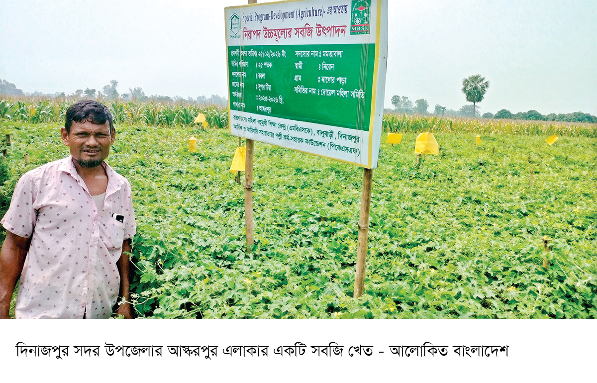 নিরাপদ উচ্চমূল্যের সবজি আবাদে লাভবান কৃষক নিরাপদ উচ্চমূল্যের সবজি আবাদে লাভবান কৃষক