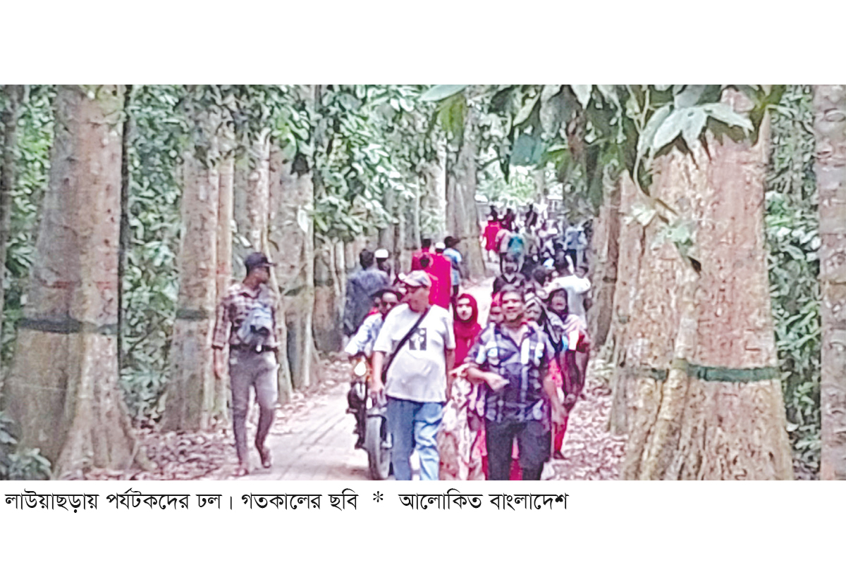 লাউয়াছড়াসহ বিভিন্ন স্পটে পর্যটকদের ঢল লাউয়াছড়াসহ বিভিন্ন স্পটে পর্যটকদের ঢল
