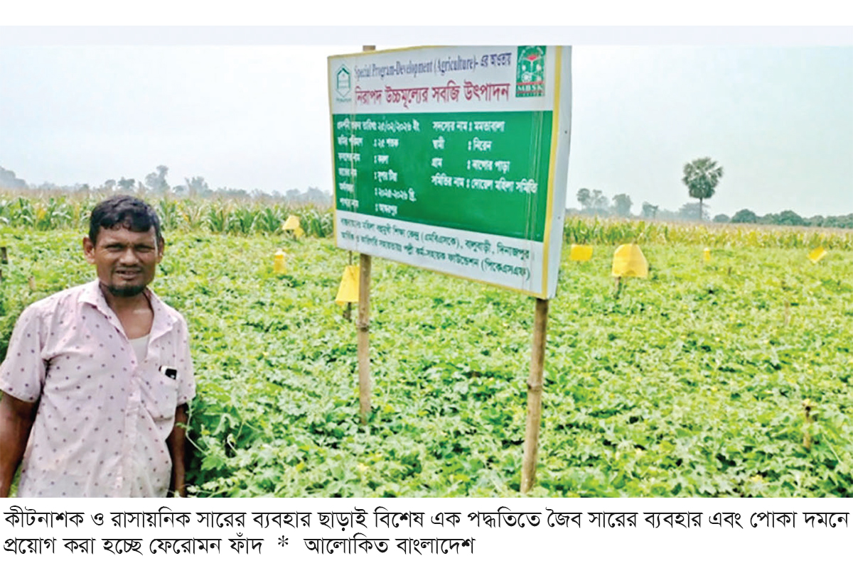 বিষমুক্ত ও নিরাপদ সবজি চাষে কৃষকের ব্যাপক সফলতা বিষমুক্ত ও নিরাপদ সবজি চাষে কৃষকের ব্যাপক সফলতা