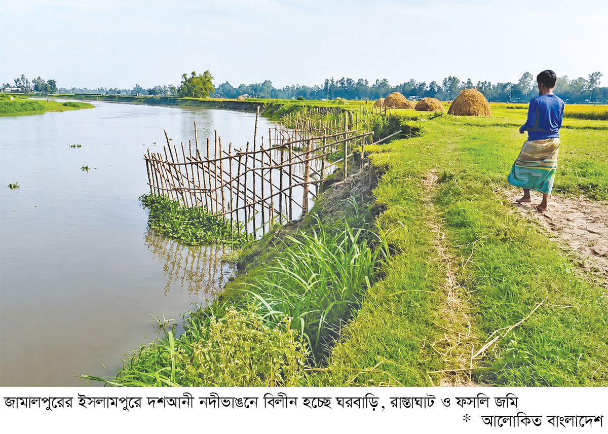 দশআনী নদীর ভাঙনে বিলীন ঘরবাড়ি-ফসলি জমি দশআনী নদীর ভাঙনে বিলীন ঘরবাড়ি-ফসলি জমি