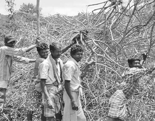 উদ্ভিদের বিপন্নতা ও মানুষের অস্তিত্বের ভবিষ্যৎ উদ্ভিদের বিপন্নতা ও মানুষের অস্তিত্বের ভবিষ্যৎ