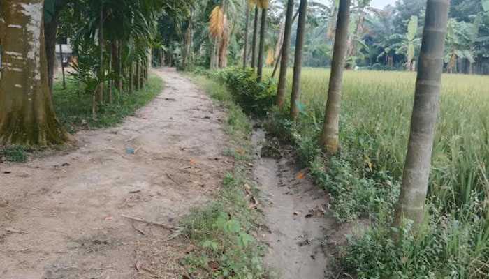 সরকারি রাস্তা দখল করে ড্রেন নির্মাণের অভিযোগ, দুর্ভোগে এলাকাবাসী সরকারি রাস্তা দখল করে ড্রেন নির্মাণের অভিযোগ, দুর্ভোগে এলাকাবাসী
