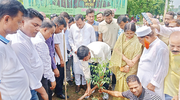 বৃক্ষরোপণ কার্যক্রম উদ্বোধন বৃক্ষরোপণ কার্যক্রম উদ্বোধন