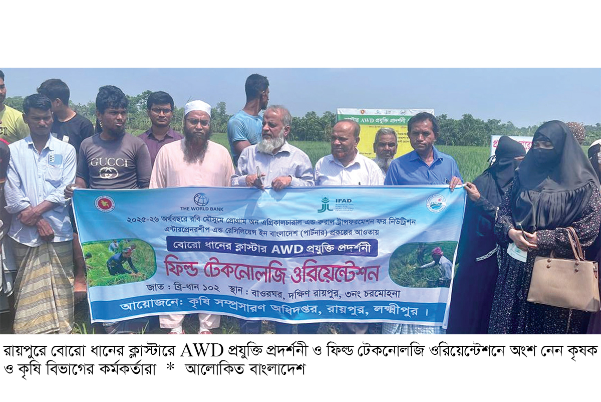 রায়পুরে বোরো ধানের ক্লাস্টারে এডব্লিউডি প্রযুক্তির সফলতা রায়পুরে বোরো ধানের ক্লাস্টারে এডব্লিউডি প্রযুক্তির সফলতা
