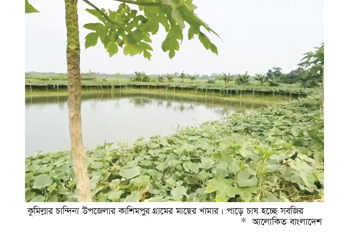খামারে মাছ, পাড়ে সবজি চাষ খামারে মাছ, পাড়ে সবজি চাষ