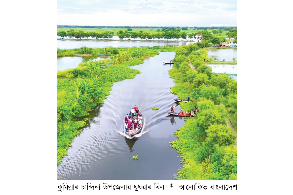 মাছের জন্য বিখ্যাত ঘুঘরার বিল ঘিরে পর্যটনের সম্ভাবনা মাছের জন্য বিখ্যাত ঘুঘরার বিল ঘিরে পর্যটনের সম্ভাবনা