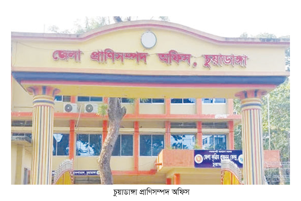 জনবল সংকটে চুয়াডাঙ্গার প্রাণিসম্পদ অফিস জনবল সংকটে চুয়াডাঙ্গার প্রাণিসম্পদ অফিস