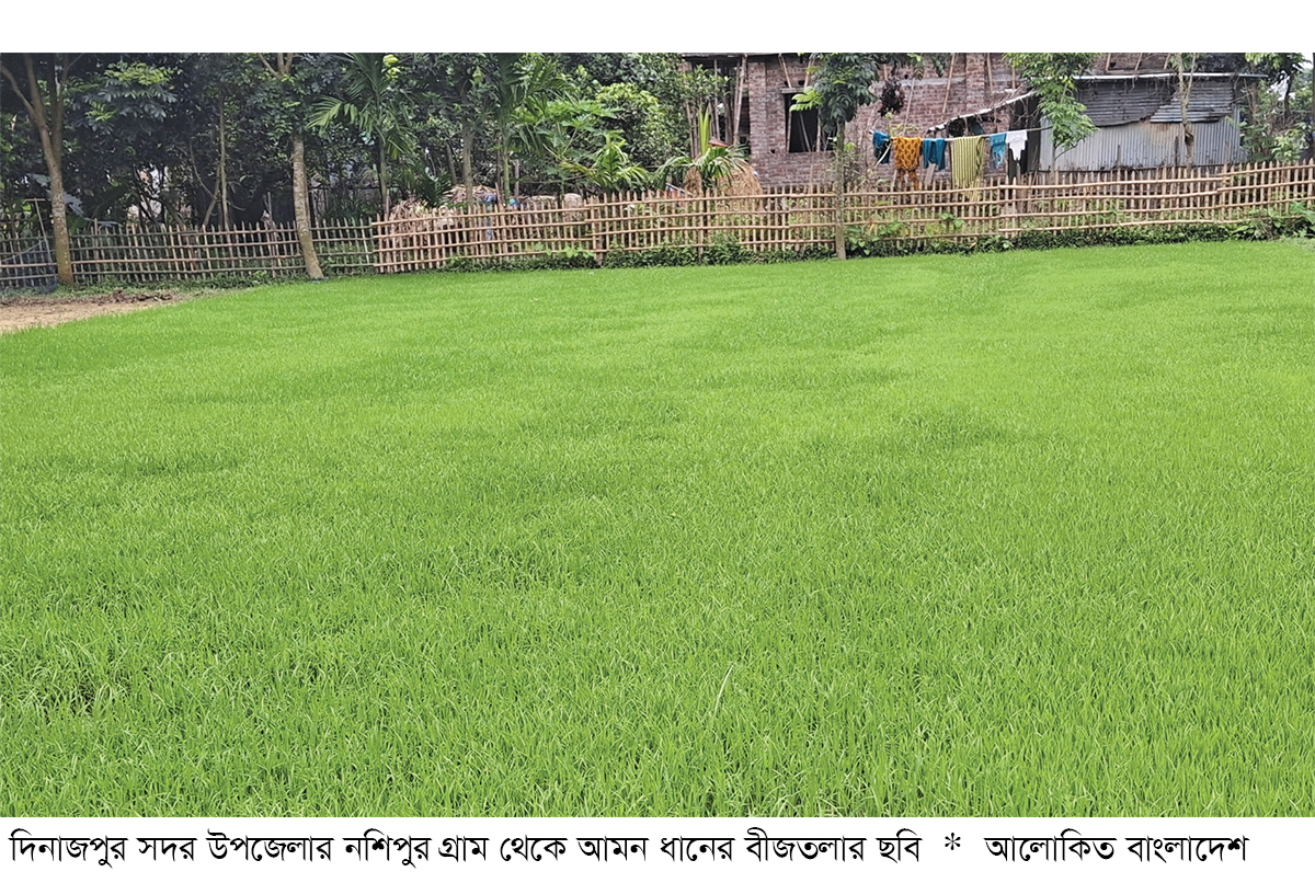 দিনাজপুরে ২ লাখ ৬০ হাজার ৮৬৮ হেক্টর জমিতে আমন চাষের লক্ষ্য নির্ধারণ দিনাজপুরে ২ লাখ ৬০ হাজার ৮৬৮ হেক্টর জমিতে আমন চাষের লক্ষ্য নির্ধারণ