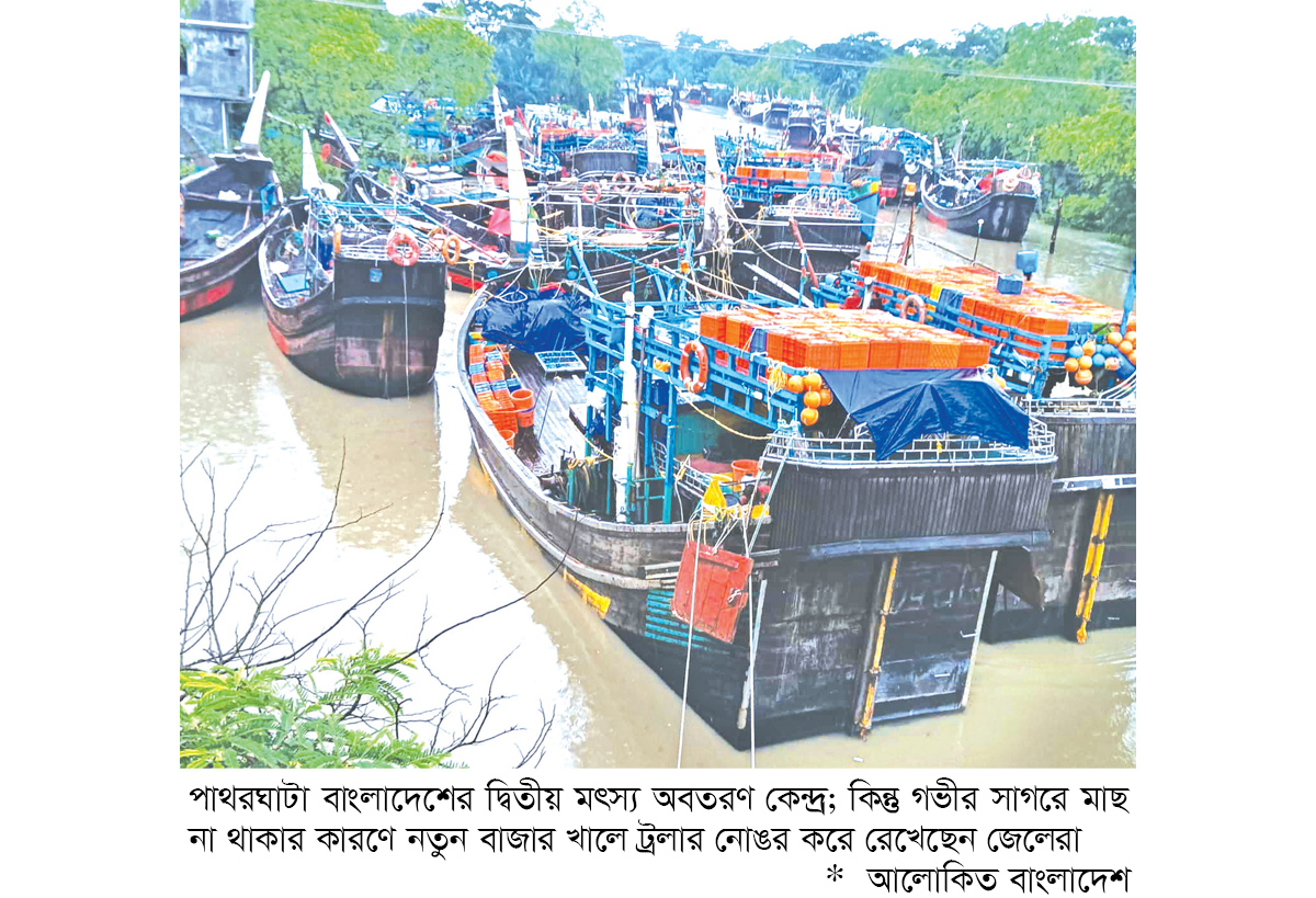 গভীর সাগর থেকে খালি হাতে ফিরছেন জেলেরা গভীর সাগর থেকে খালি হাতে ফিরছেন জেলেরা