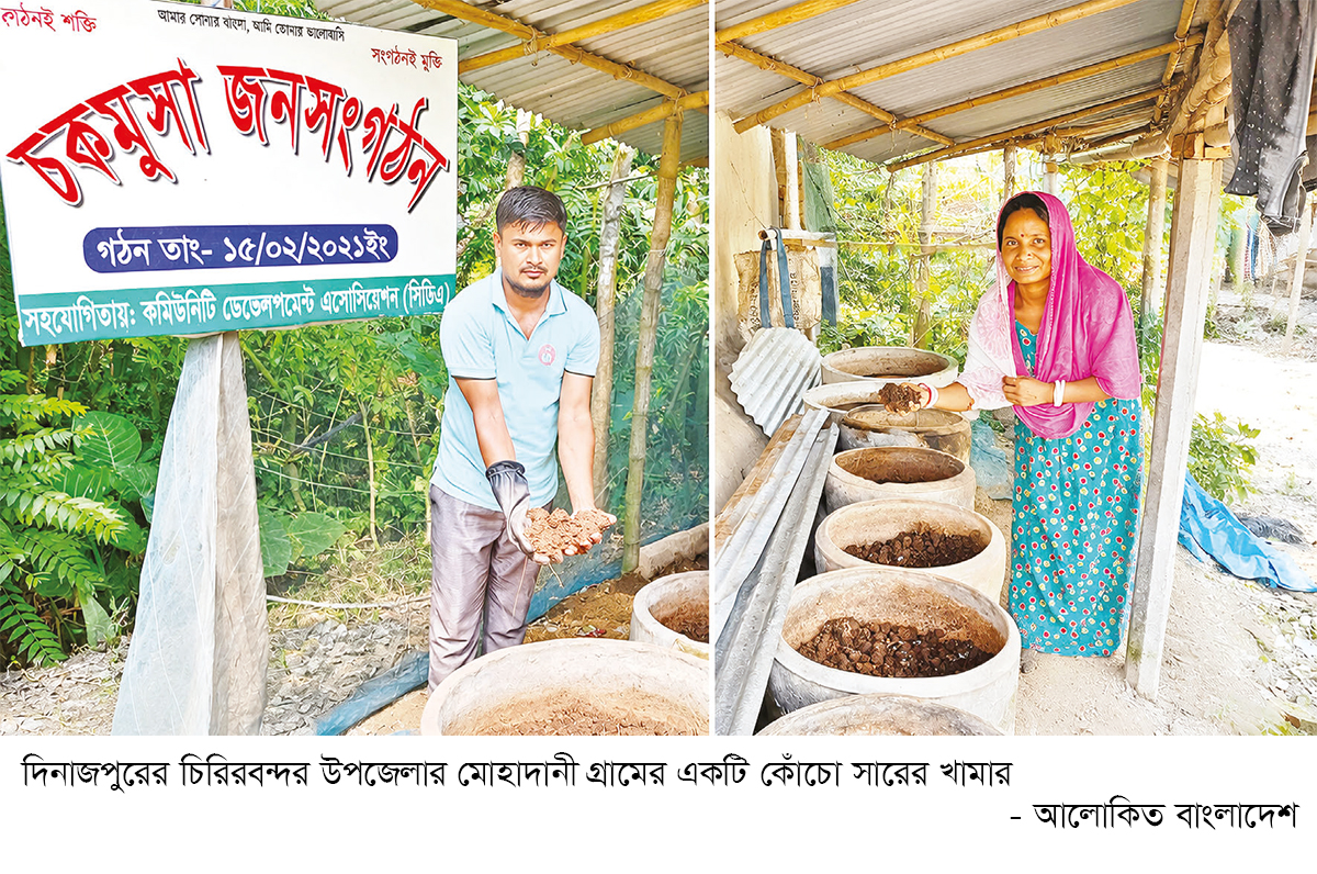 কোঁচো সার উৎপাদন করে উদ্যোক্তারা স্বাবলম্বী কোঁচো সার উৎপাদন করে উদ্যোক্তারা স্বাবলম্বী