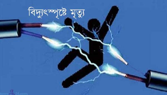 পাবনায় মাছ ধরতে গিয়ে বিদ্যুৎস্পৃষ্টে স্বামী-স্ত্রীর মৃত্যু পাবনায় মাছ ধরতে গিয়ে বিদ্যুৎস্পৃষ্টে স্বামী-স্ত্রীর মৃত্যু