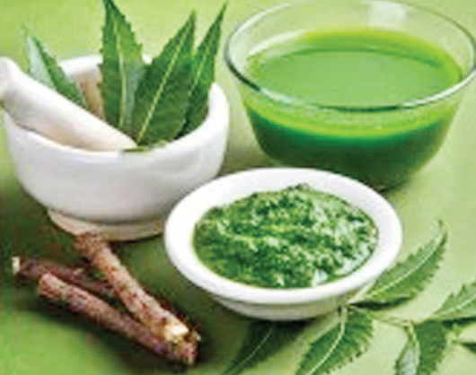 নিমের ফেসওয়াশ তৈরি নিমের ফেসওয়াশ তৈরি