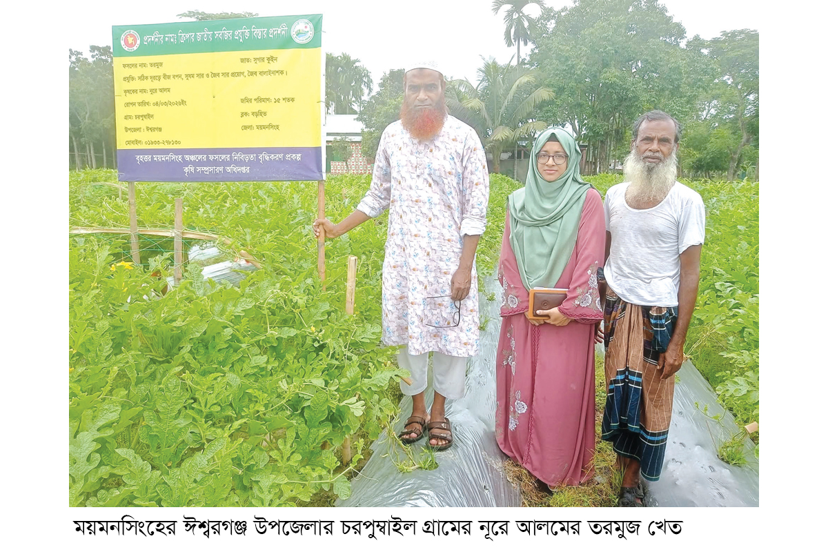 ঈশ্বরগঞ্জে তরমুজ চাষে লাভবান কৃষক ঈশ্বরগঞ্জে তরমুজ চাষে লাভবান কৃষক