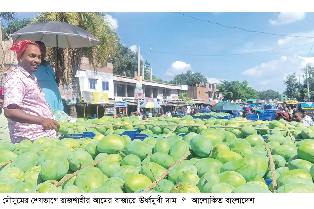 সরবরাহ কমায় আমের বাজার ঊর্ধ্বমুখী সরবরাহ কমায় আমের বাজার ঊর্ধ্বমুখী