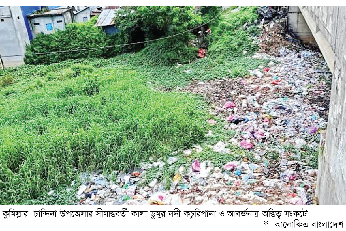 কালাডুমুর নদী এখন মরা খাল কালাডুমুর নদী এখন মরা খাল